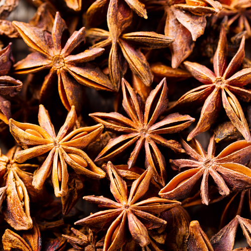 Arunachal Pradesh Star Anise | Wild Harvested from India's Eastern Himalayas