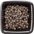 Malabar Tailed Pepper | The Forgotten Spice of India's Ancient Spice Trade