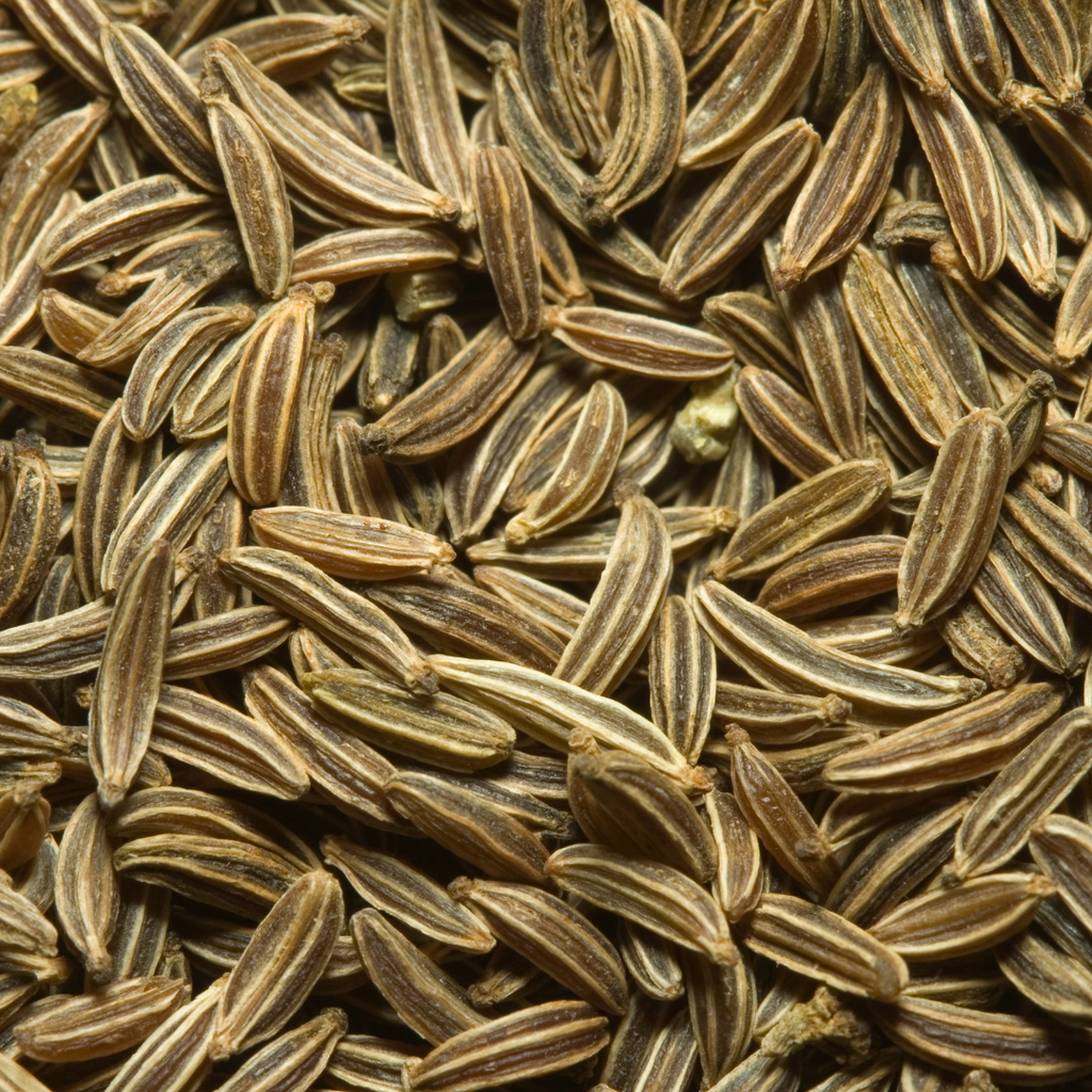 Kashmir Shahi Jeera - Caraway Seeds - Shajeera | Hand Harvested from the Valley of Spices