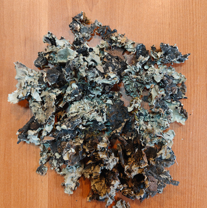 Western Ghats Stone Flower | The Secret Spice of Chettinad Cooking